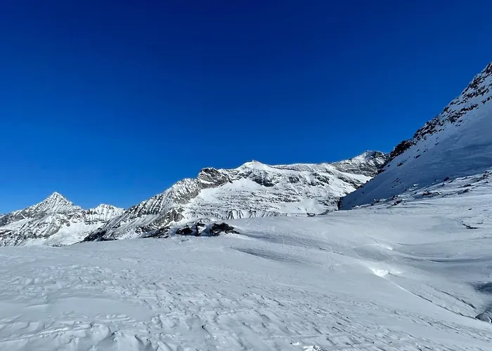 Wildkogel-villa 아파트 브람베르크 암 빌트코겔